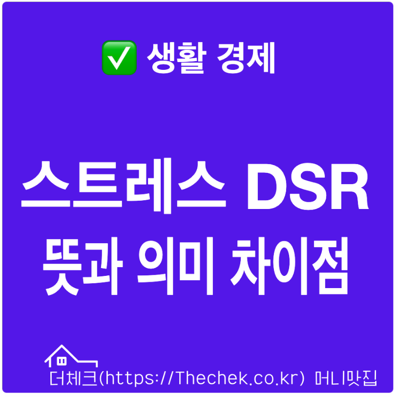 스트레스 DSR 뜻과 의미 차이점 정리