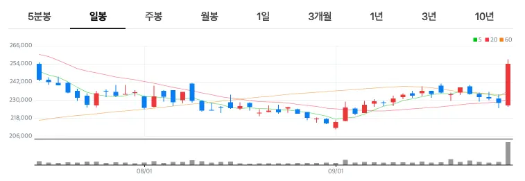 K-스테이블코인 대장주 네이버 주가차트