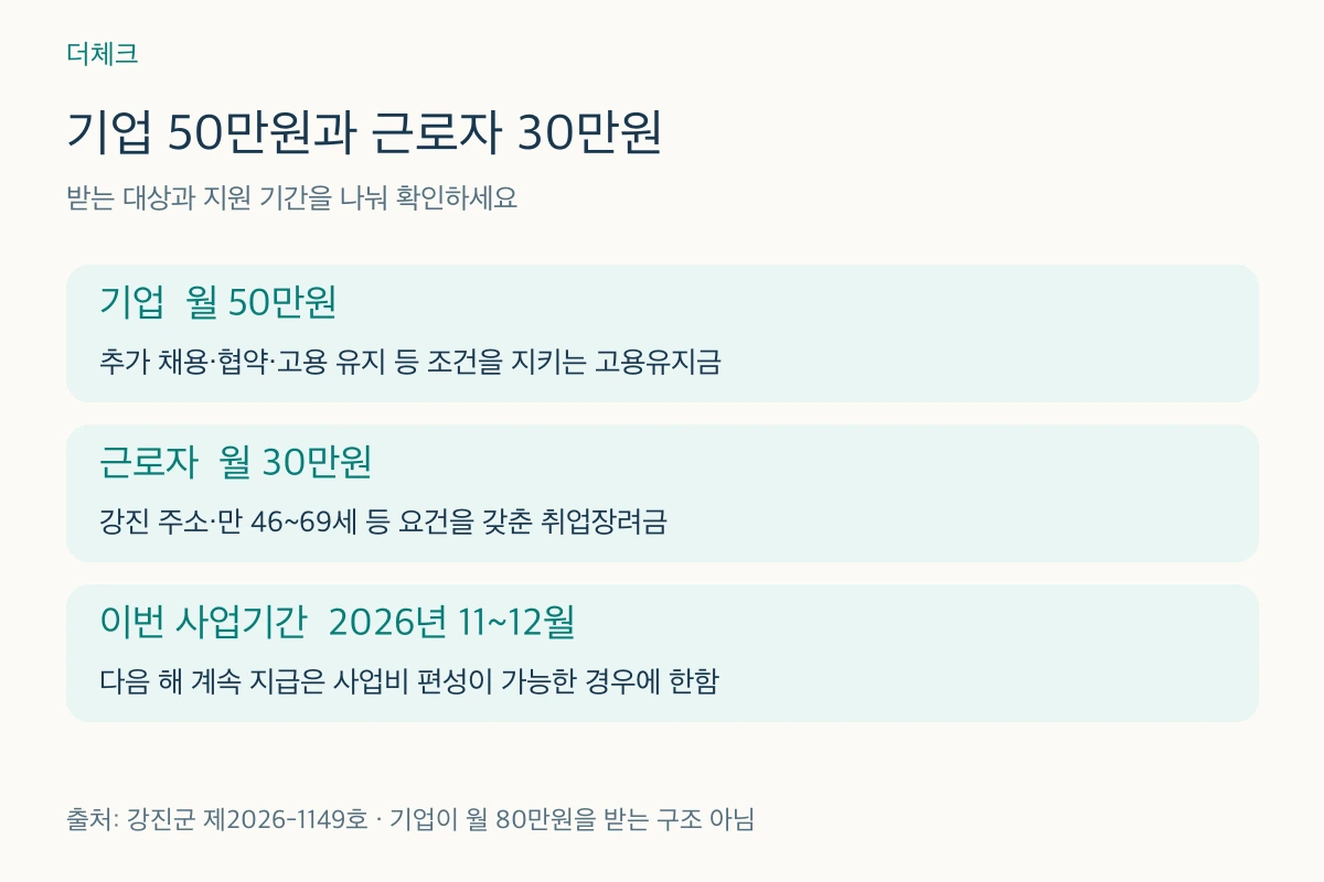 강진 신중년 일자리장려금 기업 월 50만원과 근로자 월 30만원의 별도 지급 및 차년도 예산 조건